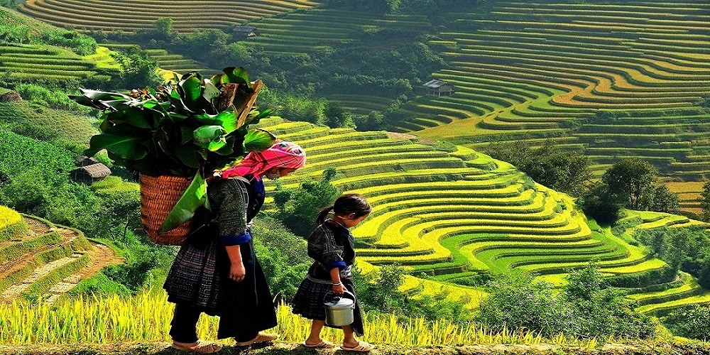 How to Travel from Hanoi to Sapa: Best Transportation Options 