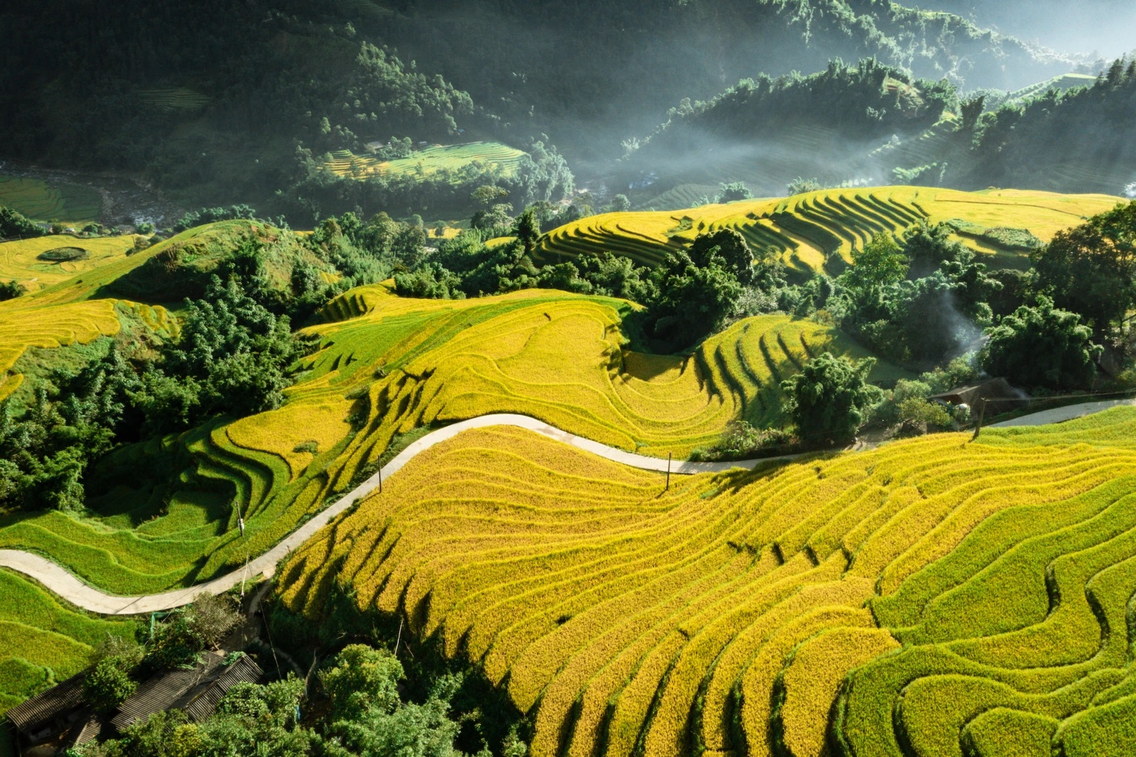SAPA - FANSIPAN PEAK – CAT CAT  FULL DAY ( L)