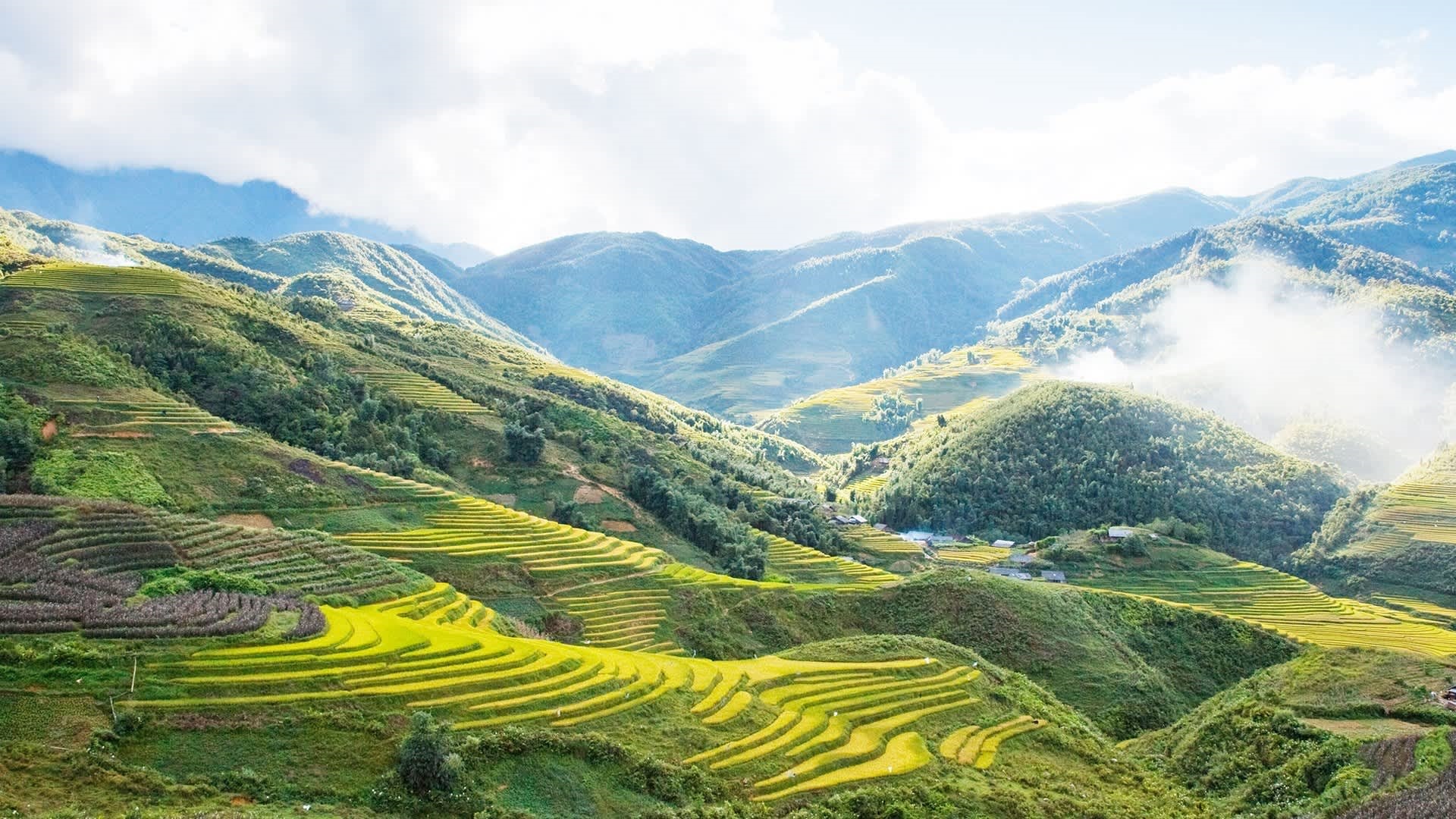 SAPA - FANSIPAN PEAK – CAT CAT  FULL DAY ( L)