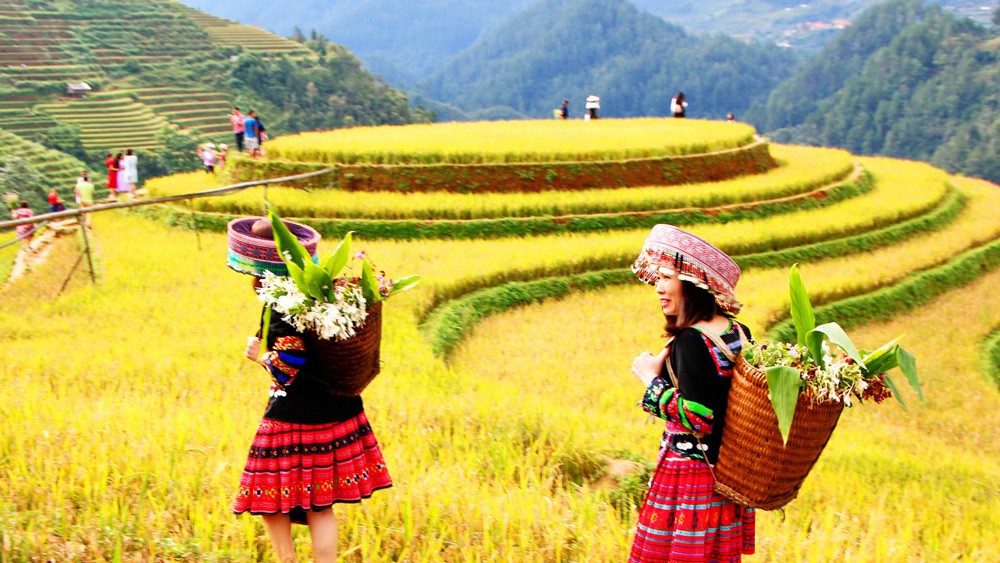 NOTHERN VIETNAM PACKAGE 5 DAYS 4 NIGHTS DEPAR FROM HA NOI -NINH BINH - HALONG BAY- CITY TOUR HA NOI
