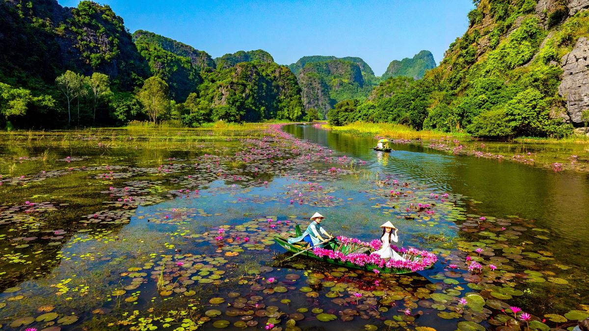 HOA LU -TAM COC -MUA CAVE 