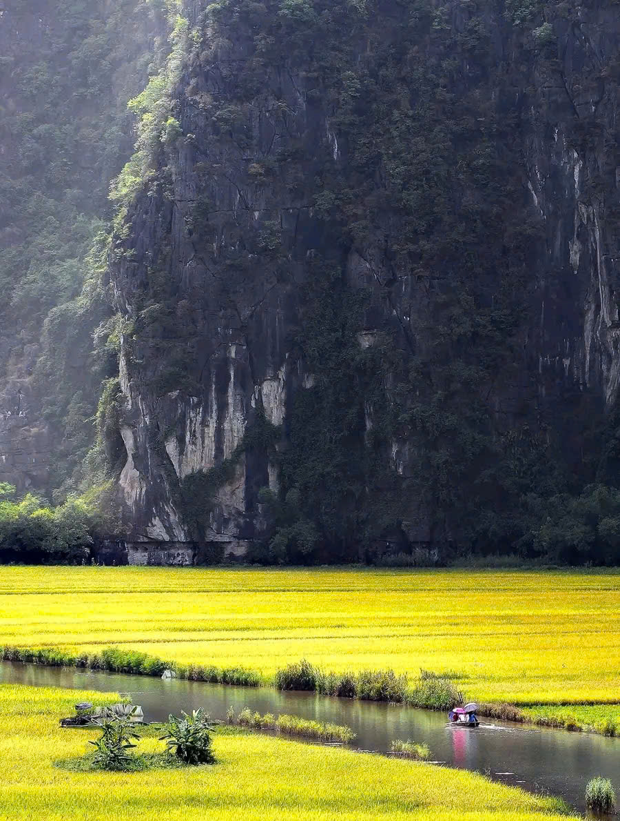 NỎTHERN PACKAGE TOUR 06 DAYS 05 NIGHTS DISCOVER HA NOI - SAPA  - NINH BINH  - HALONG BAY 